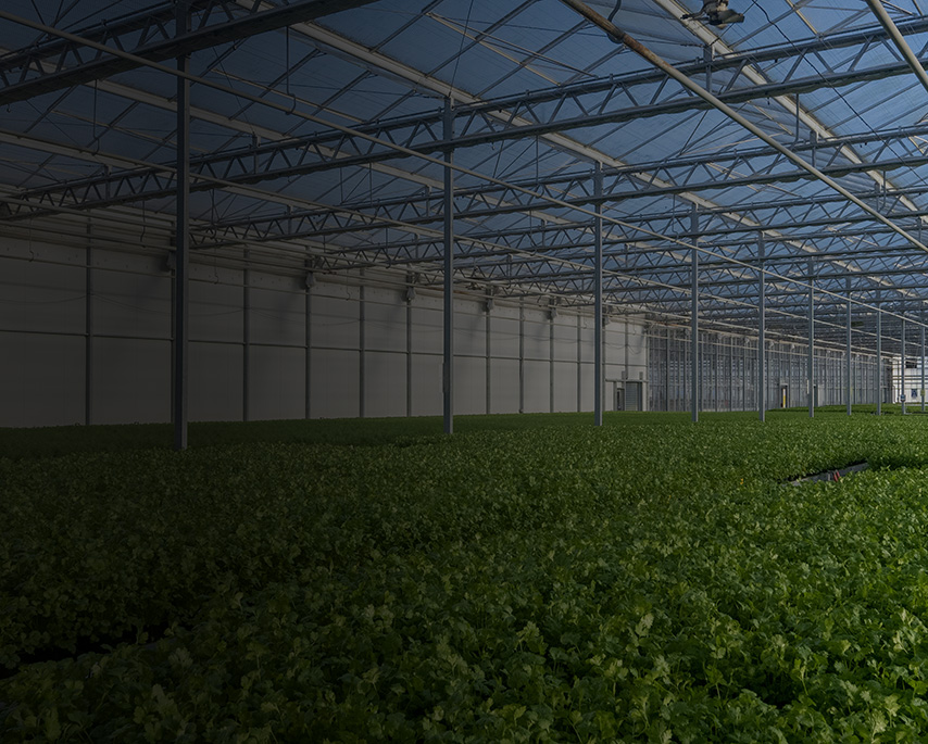 CNZAF_Auckland_Helensville_Fordyce_Road_208_Mobile