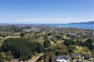 Kapiti coast